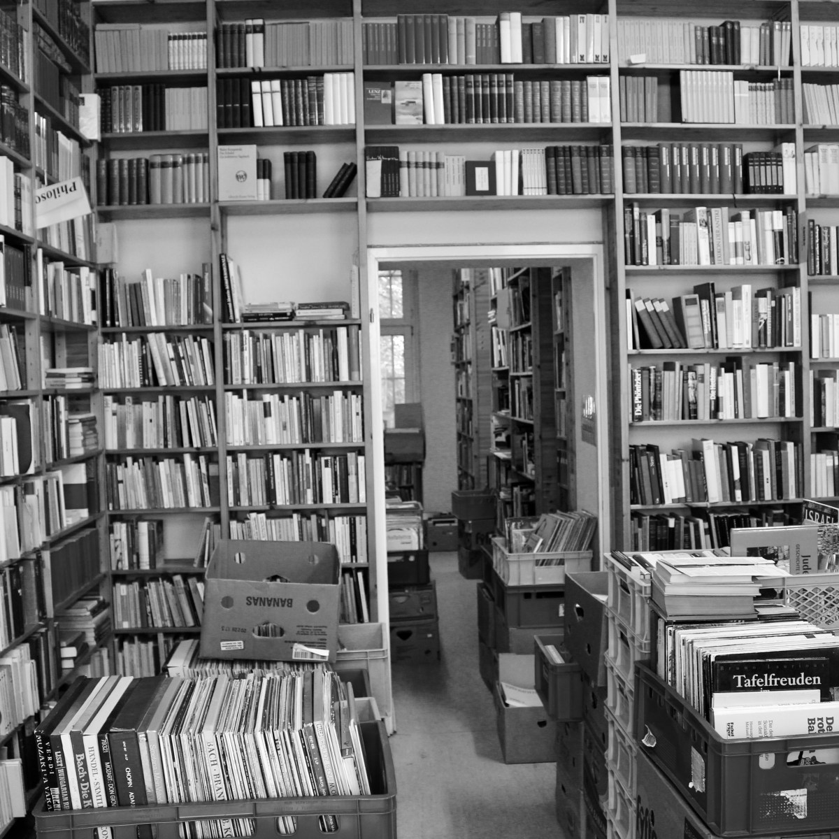 Schatzsuche im Antiquariat